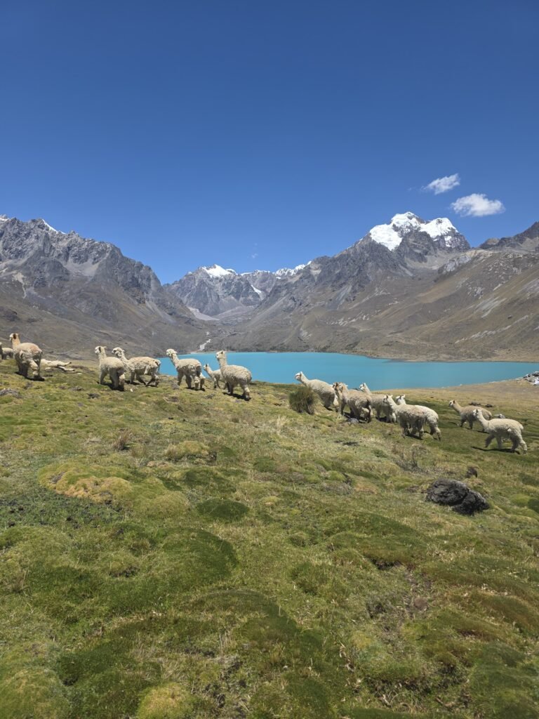 Viajes a Cusco entre montañas de los Andes