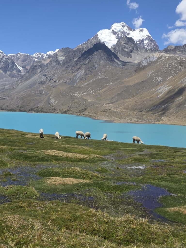 Laguna Singrenacocha de aguas turquesas rodeada de montañas andinas en Cusco, Perú