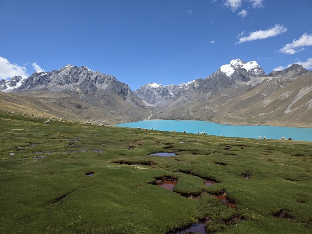 Laguna Singrenacocha de aguas turquesas, rodeada de montañas andinas y pastizales en Cusco, Perú.